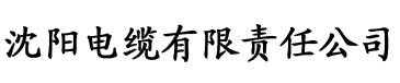 2019年理论片免费电缆厂logo